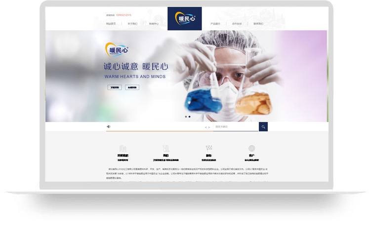 企業(yè)網站建設案例