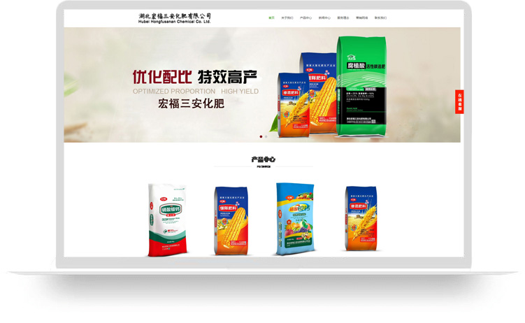 企業(yè)網站建設案例