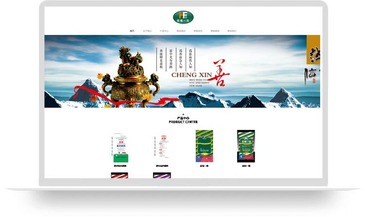 企業(yè)網站建設案例